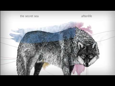 The Secret Sea - Afterlife