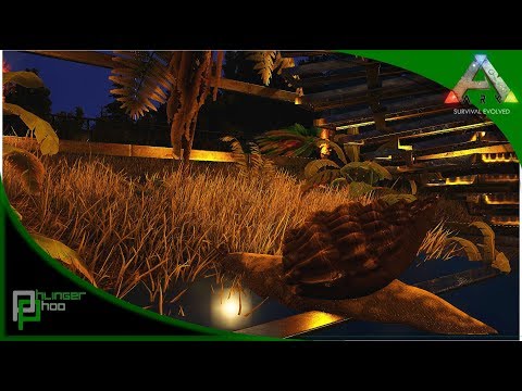 Ark: GES4 - 24 - ACHATINA ATRIUM! DIMORPHODON TAMING!