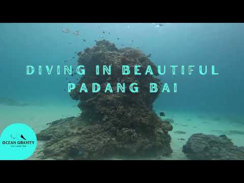 Scuba Diving in Padang Bai with Ocean Gravity Bali