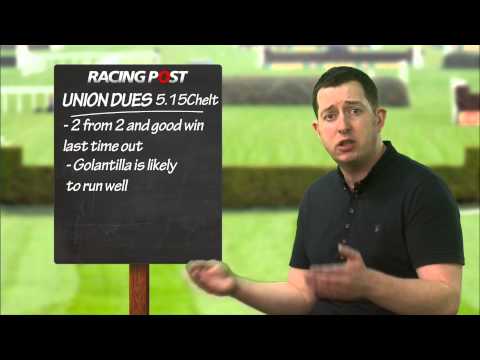 Cheltenham tipping: Wednesday - Dave Orton - Champion Bumper