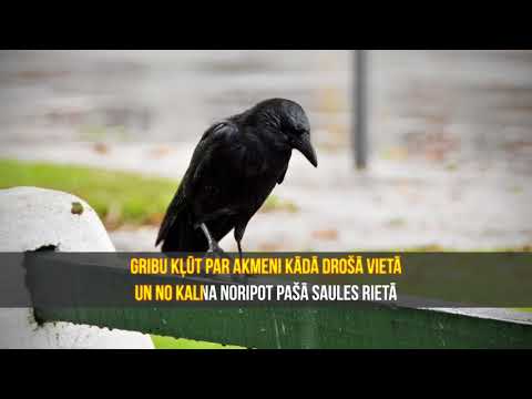 Ieva Kerēvica un Aivars Brīze - Melnā vārna (KARAOKE)