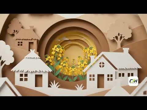 Bonus AI Video sample