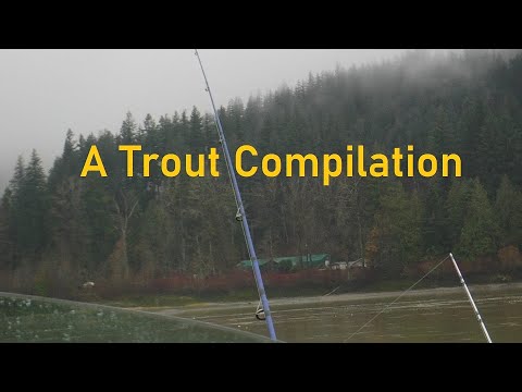 A Trout Compilation