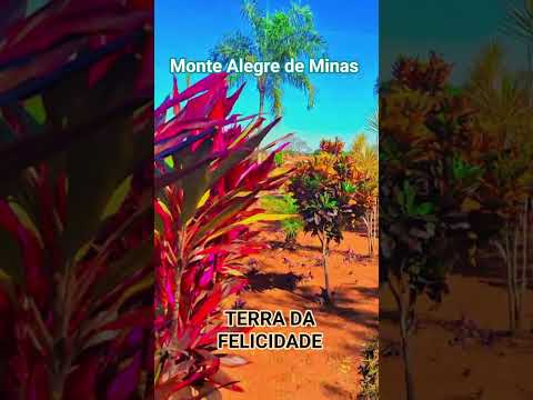 Monte Alegre de Minas