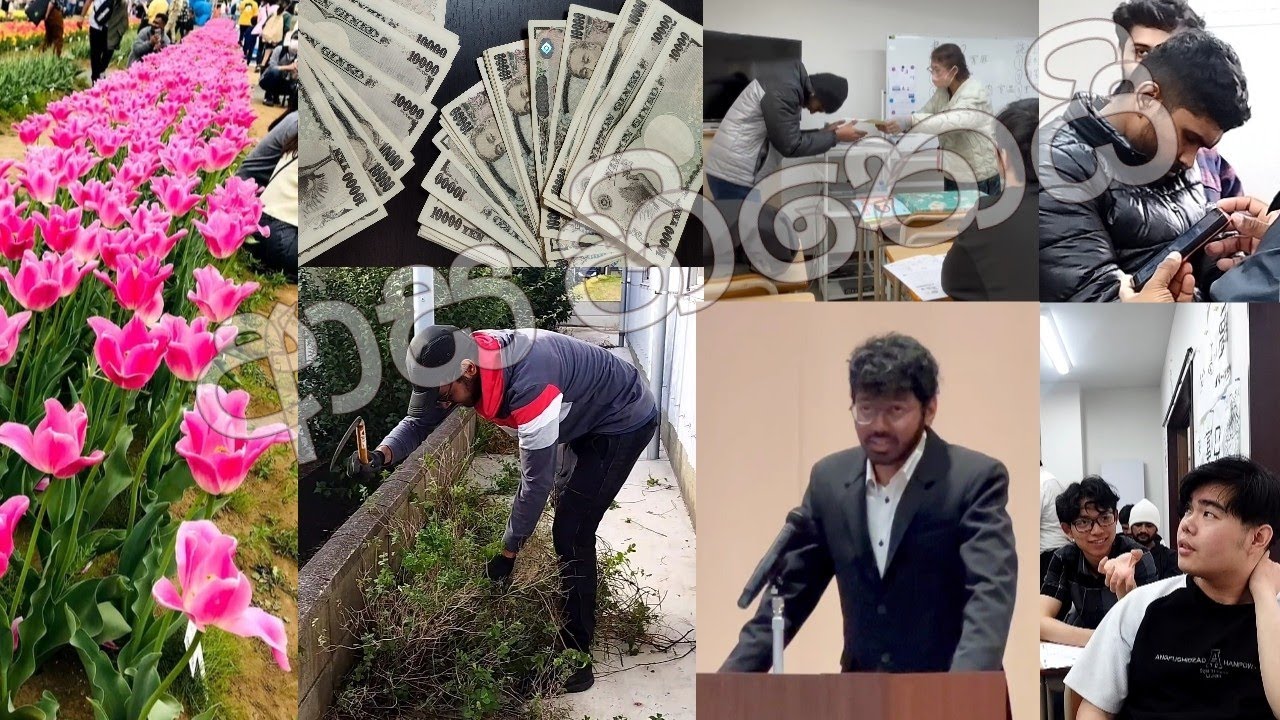 කියන තරම් ජපානෙ සැපද මල්ලී😁ඇවිත් බලන්න🤭 💸ආස හිතෙයි🥳😢🤑🤑💸💸