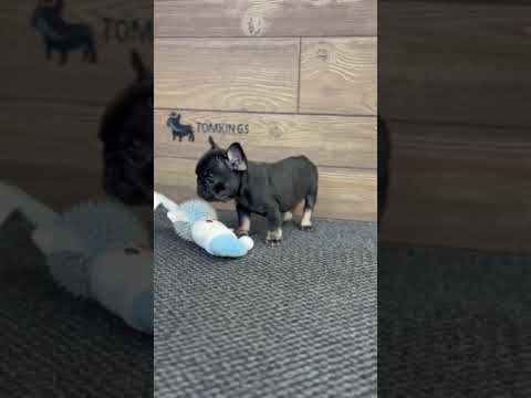 Video 3