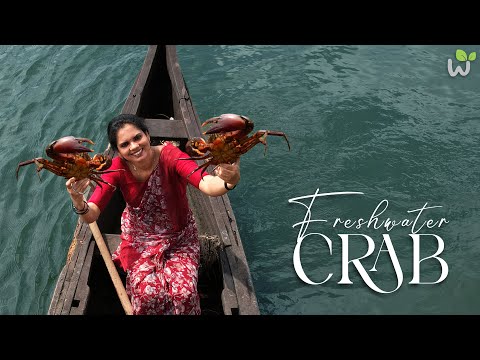 🌾 Kerala Style Crab Ghee Roast with Rice Flour Appam | Morning Boat Trip