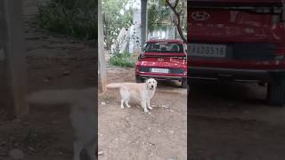 Download lagu En area da…😂😂😂 mp3