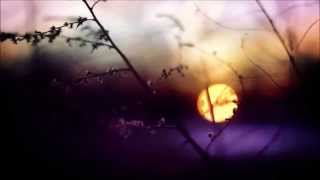 cafe del mar - guitar