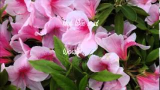 DAVID BOWIE Pablo Picasso(live)-lyrics