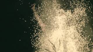 All good things are wild and free