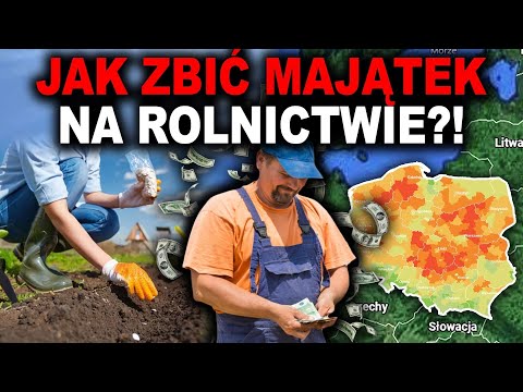 WHICH CROPS BRING THE GREATEST PROFIT? - Is farming profitable?