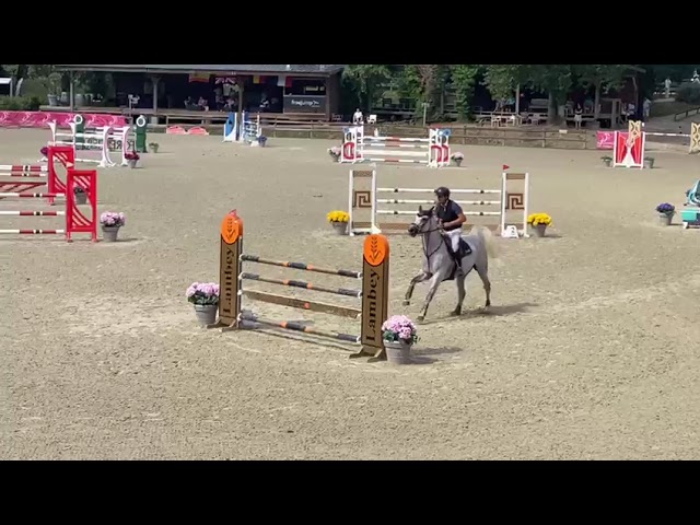 Jument 9 ans top cso 