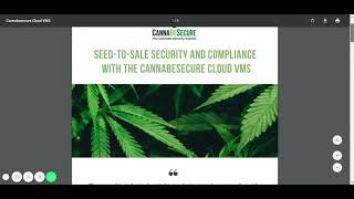 Attention-Grabbing Marketing Slicks