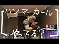 【筋トレ】ハンマーカールで上腕筋をつぶす!腕トレ!