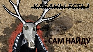 ВЫГОНЯЮ ГОПАРЯ СО СВОЕГО ЛЕСА (HOG HUNTER 2021)