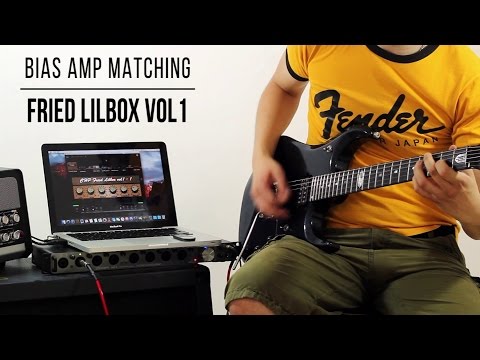 Fried Lilbox vol.1 for Positive Grid Bias Amp Matching - Playthrough (Friedman Smallbox 50)
