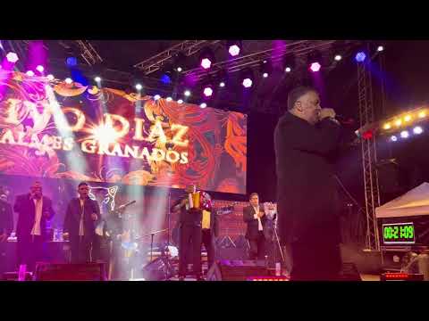 Campesina ibaguereña - Ivo Díaz IBAGUÉ