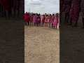 Traditional Masai Jumping Contest Masaimara Culturalheritage Kenya Jumping Contest Culture