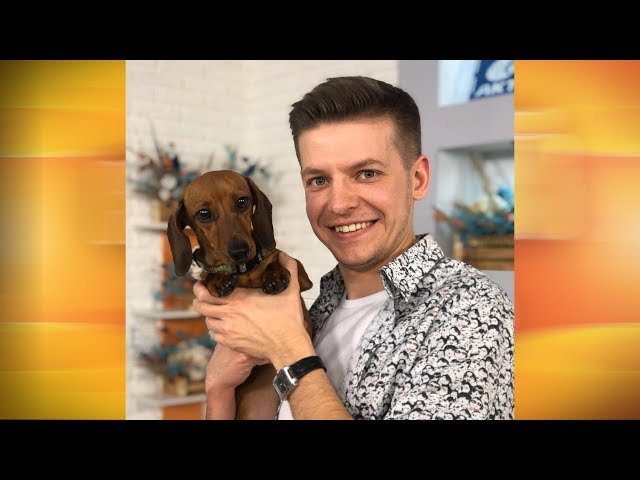 Живая среда