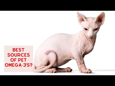 Best Sources of OMEGA-3'S for Pets!