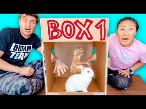 WHAT'S IN THE BOX CHALLENGE with LIVE ANIMALS!! Video