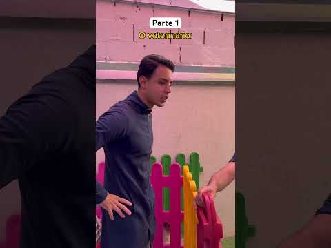 Have you been to the vet yet? 🐶🐾 @marcotuliodavi #shorts