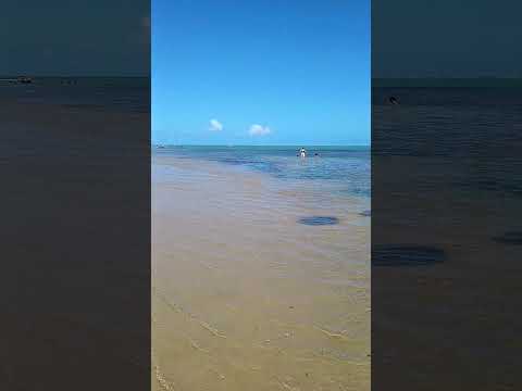 Praia do Pontal do Peba, Alagoas #praia #beach #pontaldopeba #piaçabuçu #alagoas #turismo #fy