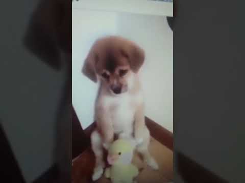 Кто насрал ???