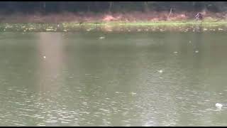 AVANCE SEMPRE (Texto motivacional)