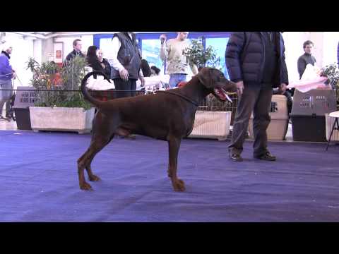 Pride of Russia Kaspij - Trofeo Caliandro Winner 2010