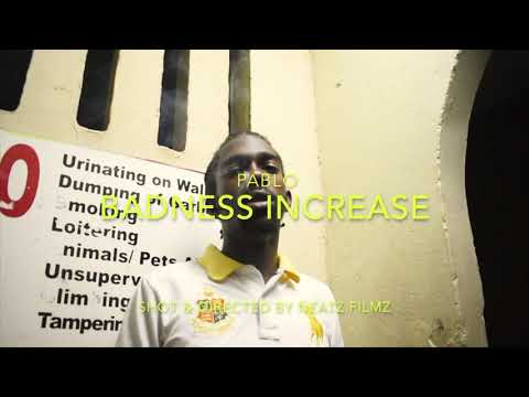PENGDEM - Badness Increase (Evil Medz)