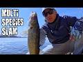 Video Thumbnail for MULTI SPECIES Fishing Canada's WARMEST Lake (Walleye, Bass and Pike)