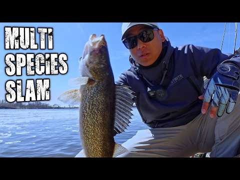 MULTI SPECIES Fishing Canada's WARMEST Lake (Walleye, Bass and Pike)