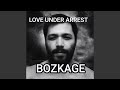Love Under Arrest