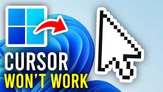How To Fix Mouse Not Working In Windows 11 & 10 - Full Guide