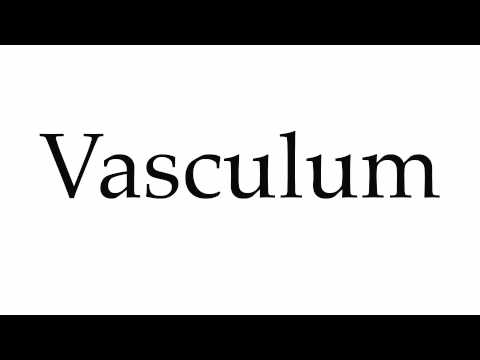 How to Pronounce Vasculum