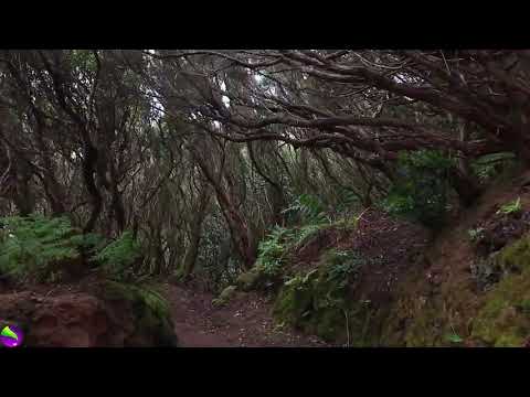 Very amazing nature video Edit by Ajmal khan 🇵🇰😍❤️ MashAllah