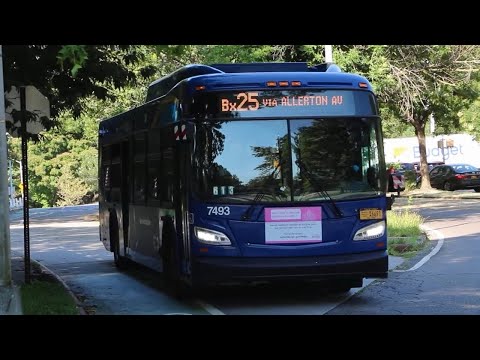 Bx25 Bus