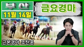 🟡경마예상💥경마방송🔵조찬훈경마🚩경마🥇금요경마🎯금요예상