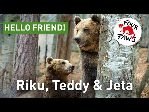 Riku, Teddy and Jeta - friends for life!