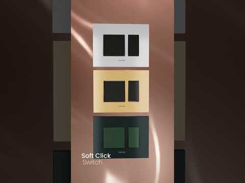Modular Switches