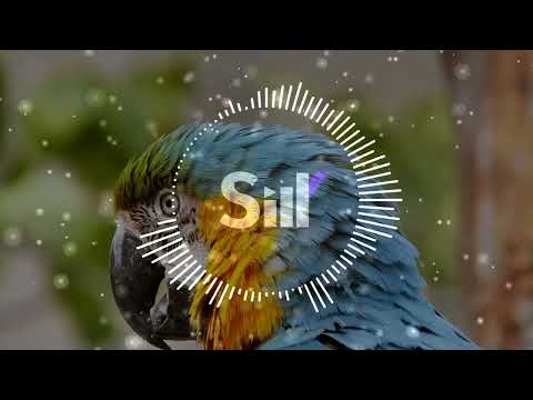 RPA, MNDCTRL, LIFT TUBE - DOMINANCE | 2025