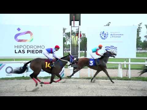 220121 c08 - BRUNA - HIPODROMO LAS PIEDRAS