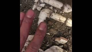 Sıcak su kaçagı bulma TERMAL TESİSAT:0532 015 06 02