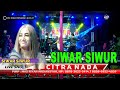 SIWAR SIWUR IIN VARERA CITRA NADA LIVE DS DUKUH MINGKRIK LARANGAN BREBES