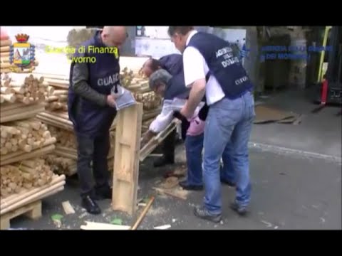 Livorno - smantellata banda dedita allo spaccio di droga: 17 arresti