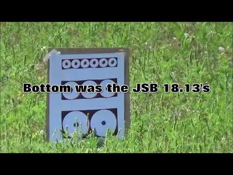 Benjamin Marauder 22 cal non regulated First shots