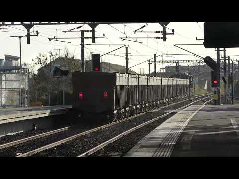 074, 079 and retro 073 on Tara Mines trains - Raheny, Clongriffin, Laytown and Gormanston