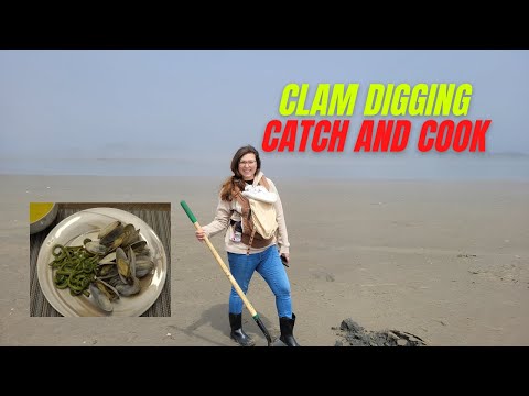 Clam Digging in Nova Scotia | Catch and Cook